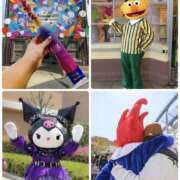 ヒメ日記 2026/04/20 08:54 投稿 みわ 神戸3040（神戸サーティフォーティ）