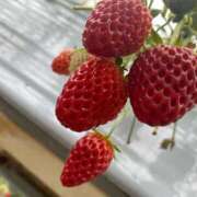 ヒメ日記 2025/03/08 14:01 投稿 七海あい 甲府回春アロマージュ