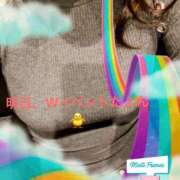 ヒメ日記 2025/02/07 17:49 投稿 寿々花(すずか) 八王子人妻城