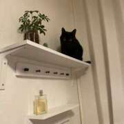 ヒメ日記 2025/01/15 20:03 投稿 まゆ 脱がされたい人妻 宇都宮店