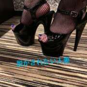 ヒメ日記 2025/01/21 11:50 投稿 まゆ 脱がされたい人妻 宇都宮店