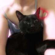 ヒメ日記 2025/02/22 17:00 投稿 まゆ 脱がされたい人妻 宇都宮店