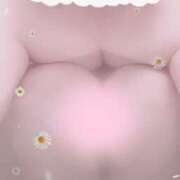 ヒメ日記 2025/03/20 19:50 投稿 まゆ 脱がされたい人妻 宇都宮店