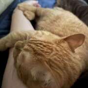 ヒメ日記 2025/03/22 03:44 投稿 まゆ 脱がされたい人妻 宇都宮店