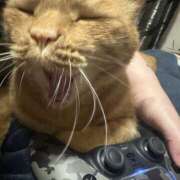 ヒメ日記 2025/04/20 05:20 投稿 まゆ 脱がされたい人妻 宇都宮店