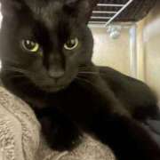 ヒメ日記 2025/05/12 12:00 投稿 まゆ 脱がされたい人妻 宇都宮店