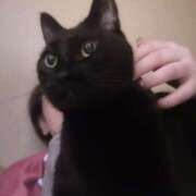 ヒメ日記 2025/06/07 19:00 投稿 まゆ 脱がされたい人妻 宇都宮店