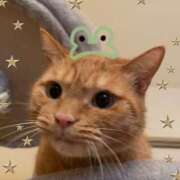 ヒメ日記 2025/11/04 18:02 投稿 まゆ 脱がされたい人妻 宇都宮店