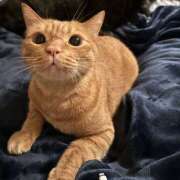 ヒメ日記 2025/11/16 18:29 投稿 まゆ 脱がされたい人妻 宇都宮店