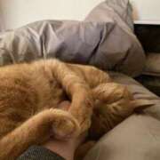 まゆ 数日お休み… 脱がされたい人妻 宇都宮店