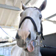 ヒメ日記 2026/01/01 10:23 投稿 まゆ 脱がされたい人妻 宇都宮店