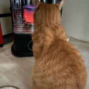 ヒメ日記 2026/01/10 06:00 投稿 まゆ 脱がされたい人妻 宇都宮店