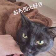 ヒメ日記 2026/01/11 06:00 投稿 まゆ 脱がされたい人妻 宇都宮店