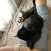 ヒメ日記 2026/01/12 06:00 投稿 まゆ 脱がされたい人妻 宇都宮店