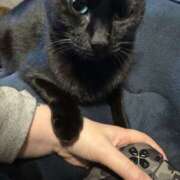 ヒメ日記 2026/01/22 06:10 投稿 まゆ 脱がされたい人妻 宇都宮店