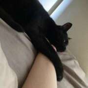 ヒメ日記 2026/01/23 06:20 投稿 まゆ 脱がされたい人妻 宇都宮店