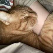 ヒメ日記 2026/02/02 06:10 投稿 まゆ 脱がされたい人妻 宇都宮店