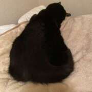 ヒメ日記 2026/02/08 06:40 投稿 まゆ 脱がされたい人妻 宇都宮店