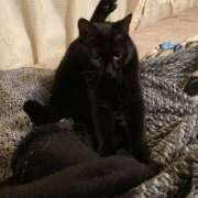 ヒメ日記 2026/02/09 06:20 投稿 まゆ 脱がされたい人妻 宇都宮店