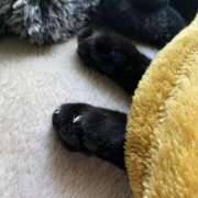 ヒメ日記 2026/02/14 06:30 投稿 まゆ 脱がされたい人妻 宇都宮店