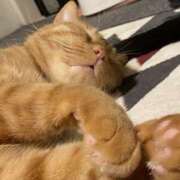 ヒメ日記 2026/02/23 02:07 投稿 まゆ 脱がされたい人妻 宇都宮店