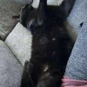 ヒメ日記 2026/02/27 06:39 投稿 まゆ 脱がされたい人妻 宇都宮店