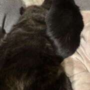 ヒメ日記 2026/03/01 06:20 投稿 まゆ 脱がされたい人妻 宇都宮店