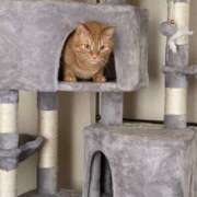 ヒメ日記 2026/03/02 07:00 投稿 まゆ 脱がされたい人妻 宇都宮店