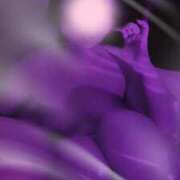 ヒメ日記 2026/03/03 22:20 投稿 まゆ 脱がされたい人妻 宇都宮店