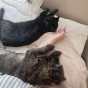 ヒメ日記 2026/03/05 06:00 投稿 まゆ 脱がされたい人妻 宇都宮店