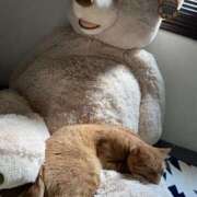 ヒメ日記 2026/03/17 10:08 投稿 まゆ 脱がされたい人妻 宇都宮店