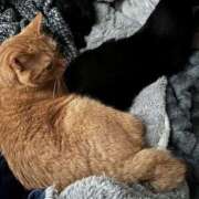 ヒメ日記 2026/03/22 07:00 投稿 まゆ 脱がされたい人妻 宇都宮店