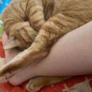 ヒメ日記 2026/03/23 21:05 投稿 まゆ 脱がされたい人妻 宇都宮店