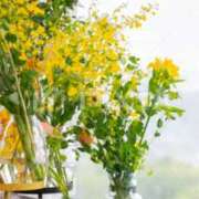 ヒメ日記 2025/01/17 14:33 投稿 せいこ 快楽夫人