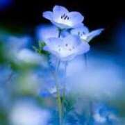 ヒメ日記 2025/01/19 17:52 投稿 せいこ 快楽夫人