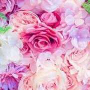 ヒメ日記 2025/01/21 15:22 投稿 せいこ 快楽夫人