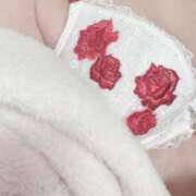 ヒメ日記 2025/04/24 18:02 投稿 せいこ 快楽夫人