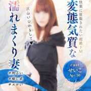 ヒメ日記 2025/05/02 14:55 投稿 せいこ 快楽夫人