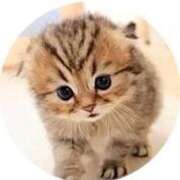 ヒメ日記 2025/07/29 14:07 投稿 せいこ 快楽夫人