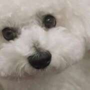 ヒメ日記 2025/11/25 00:49 投稿 せいこ 快楽夫人