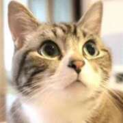 ヒメ日記 2026/01/26 18:14 投稿 せいこ 快楽夫人