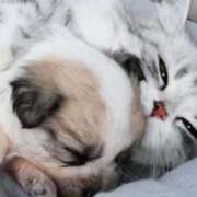 ヒメ日記 2026/02/12 15:02 投稿 せいこ 快楽夫人