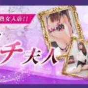 ヒメ日記 2026/03/07 18:42 投稿 せいこ 快楽夫人