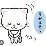 せいこ 🌸🍀出勤予定日🌸🍀 快楽夫人