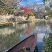 ヒメ日記 2024/12/15 08:31 投稿 獅子王　らん エテルナ彦根