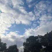 ヒメ日記 2025/02/16 07:58 投稿 獅子王　らん エテルナ彦根