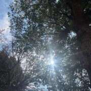 ヒメ日記 2025/02/18 06:43 投稿 獅子王　らん エテルナ彦根