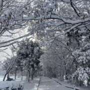 ヒメ日記 2025/02/21 07:06 投稿 獅子王　らん エテルナ彦根