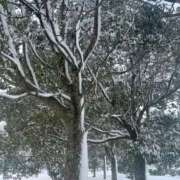 ヒメ日記 2025/02/23 07:25 投稿 獅子王　らん エテルナ彦根