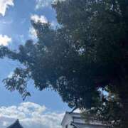 ヒメ日記 2025/02/28 07:38 投稿 獅子王　らん エテルナ彦根